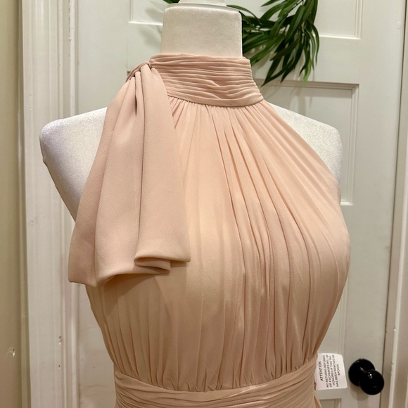 Ieena for MacDuggal High Neck Chiffon Gown Maxi Dress Blush Size 6 NWT - Picture 6 of 9